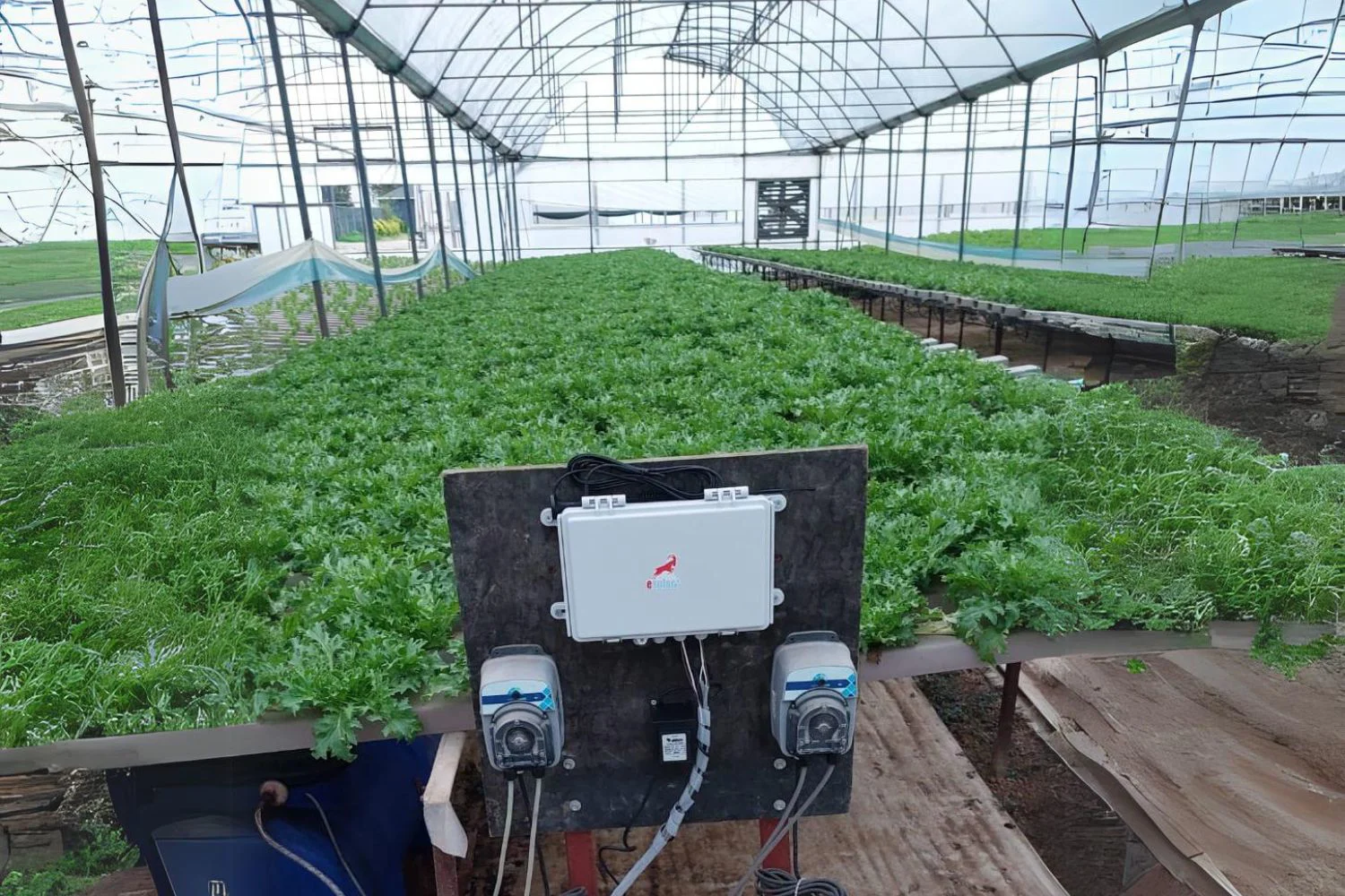 Soilless Farming Greenhouse Systems and Esular Solutions | Professional Projecting