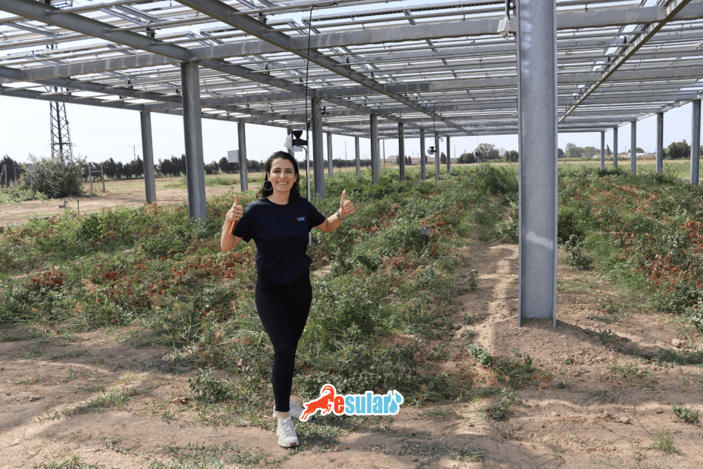 agripv-esularsayapar