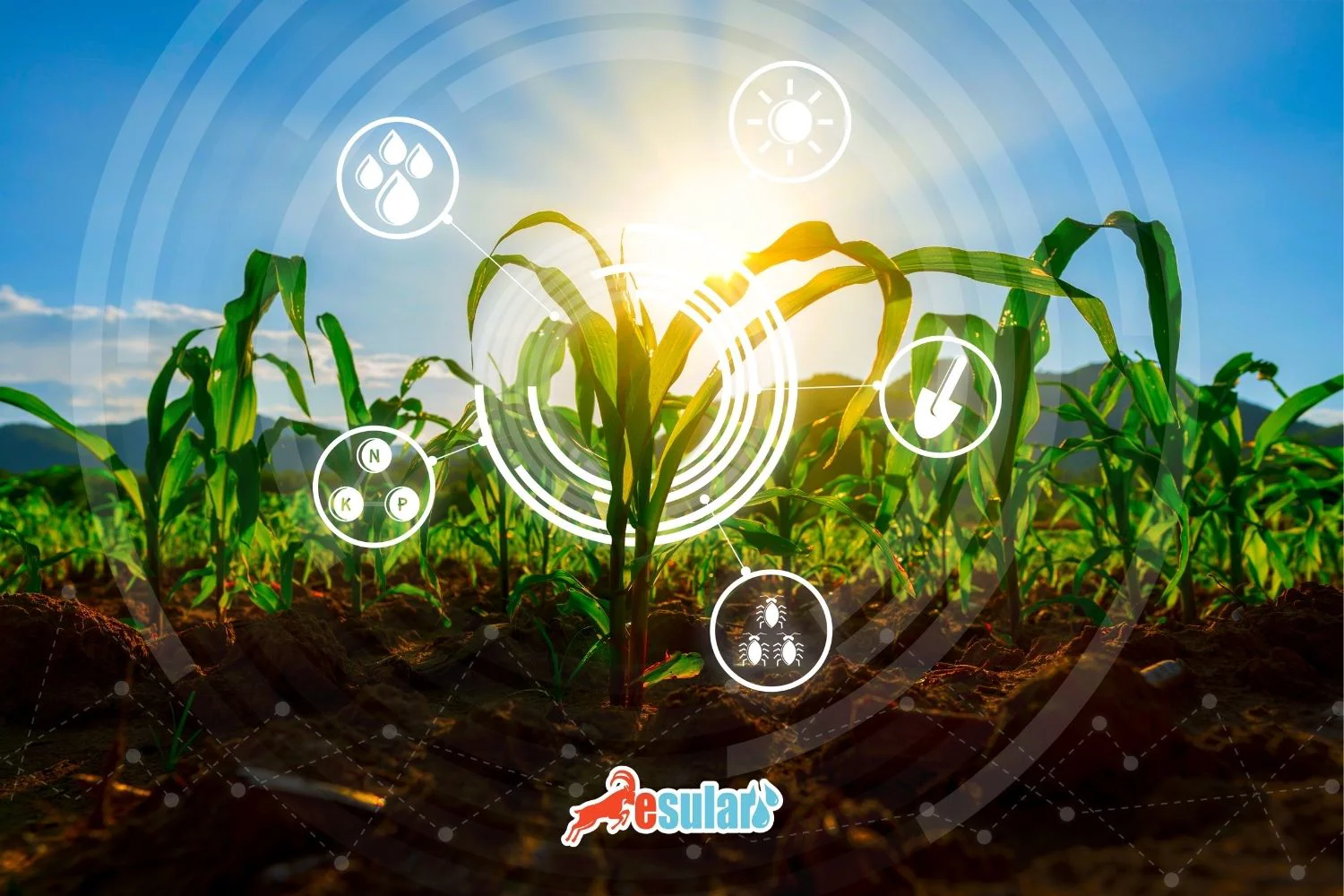 自动灌溉系统价格及清单