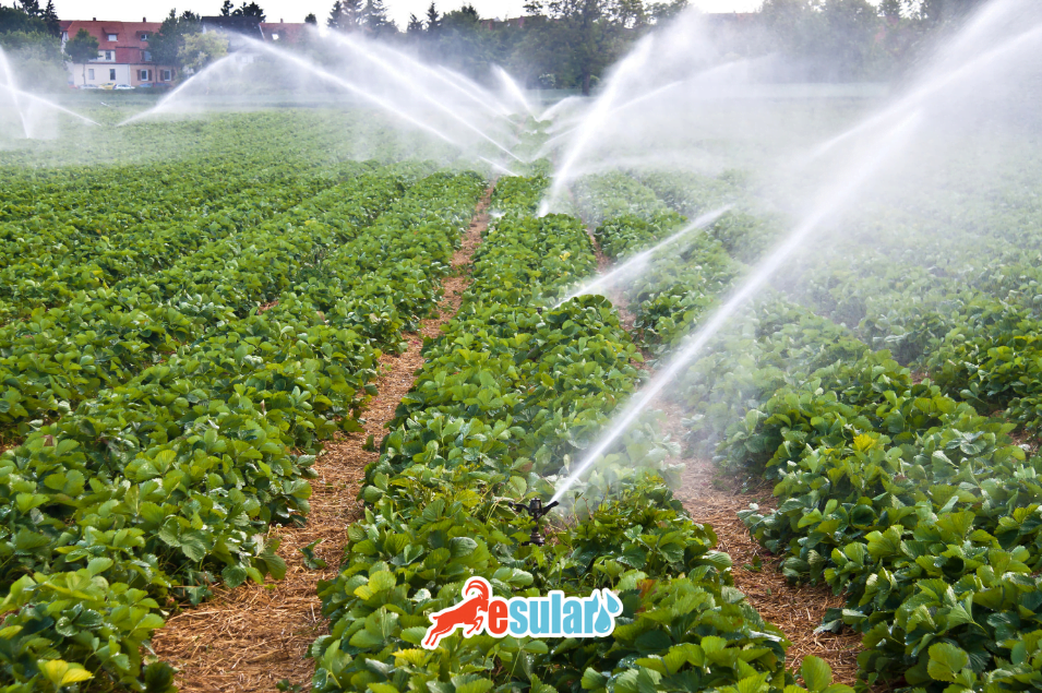 Smart-irrigation-technologies-