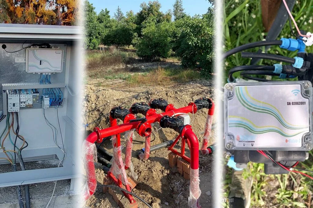 managing-avocado-with-less-water