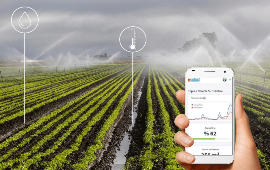 managing-avocado-with-less-water