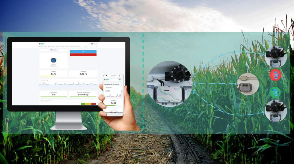 managing-avocado-with-less-water