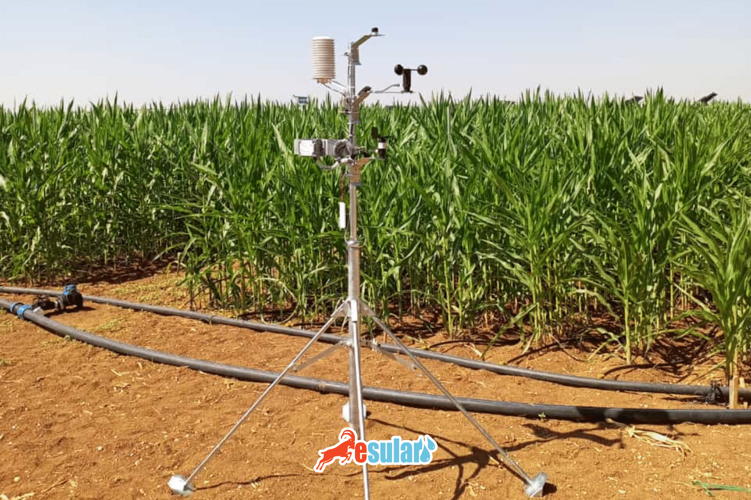 Bitki Soğuğa Dayanıklılık Haritası ve İklim İstasyonu