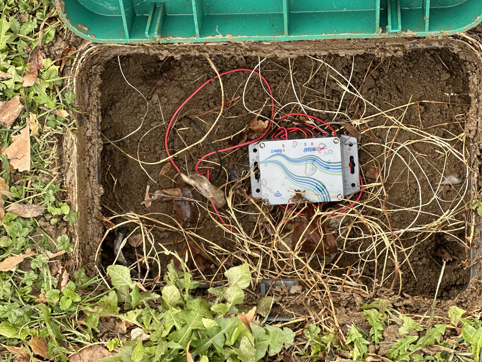 Bursa botanical park