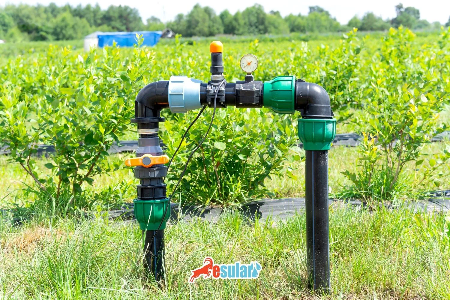 How Many Bars Are Required for a Drip Irrigation System?