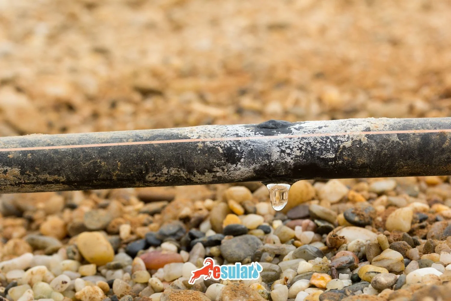 Water Filtering with Reverse Osmosis System in Agricultural Irrigation