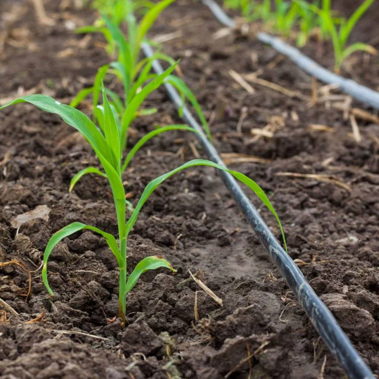 Drip Irrigation System