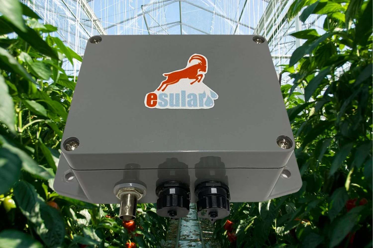 Importance of Conductivity (EC) and pH Values in Fertilization
