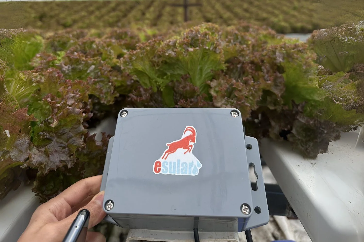 自动 EC-pH 控制系统