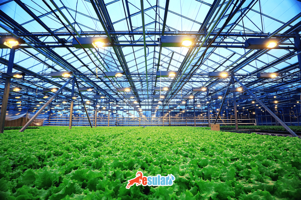 en-verimli-sera-sulama-sistemleri