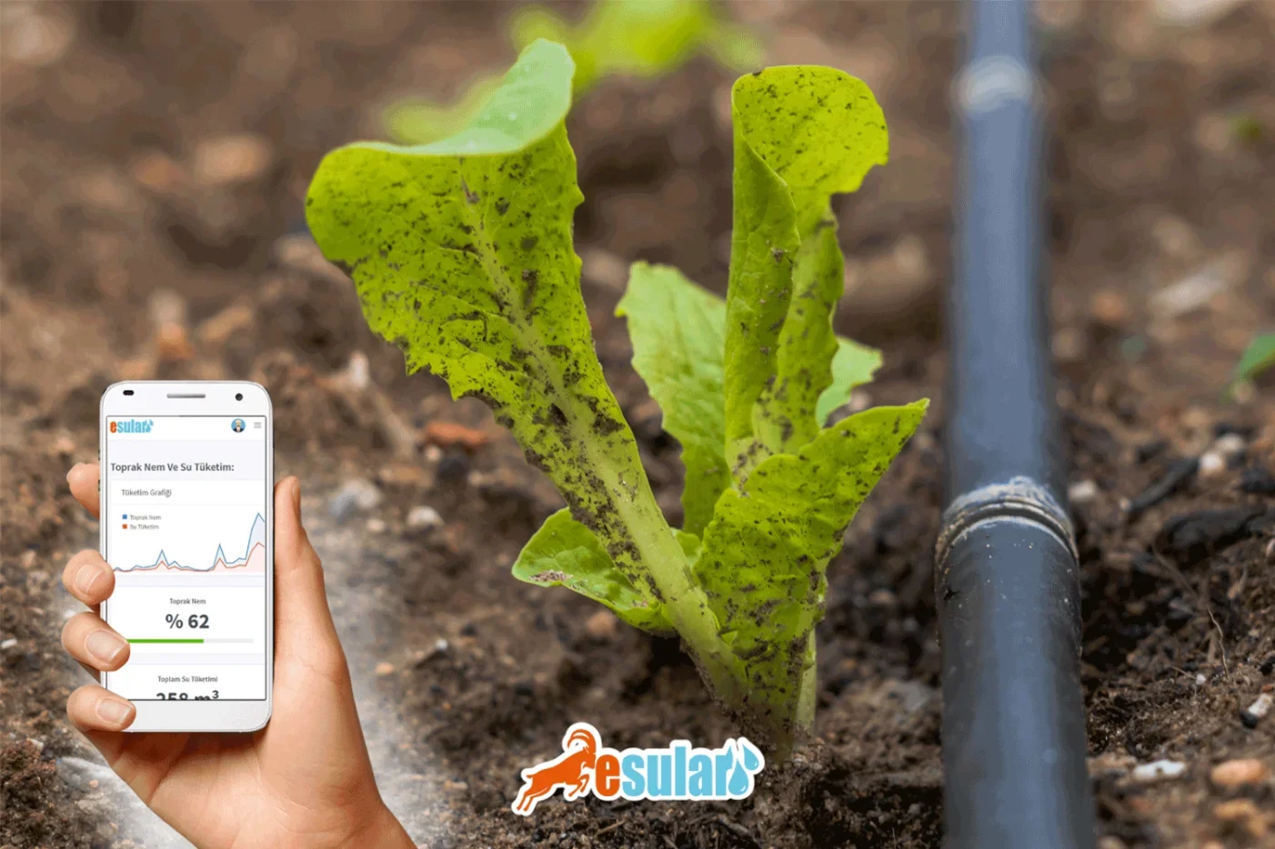 Esular 智能灌溉系统应用