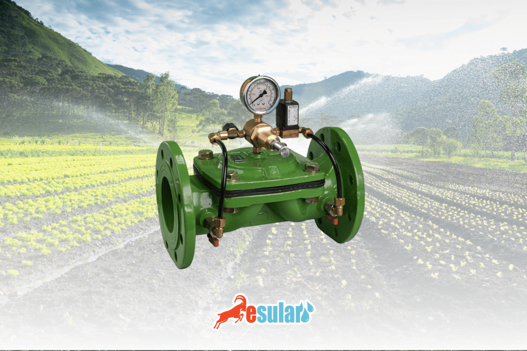 esular-cast-valve-web