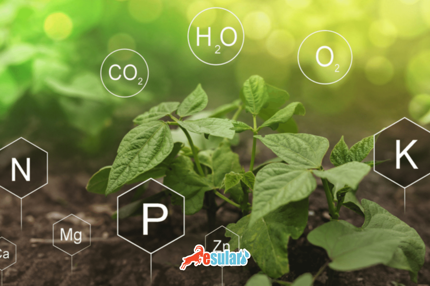 什么是数字农业