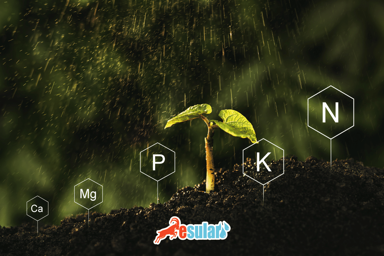 What is Potassium Nitrate? What Does It Do?