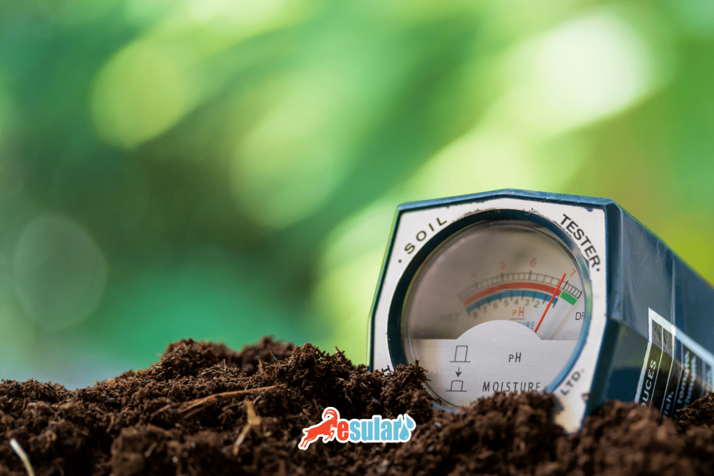 esular-gubreleme-ph-onemi-