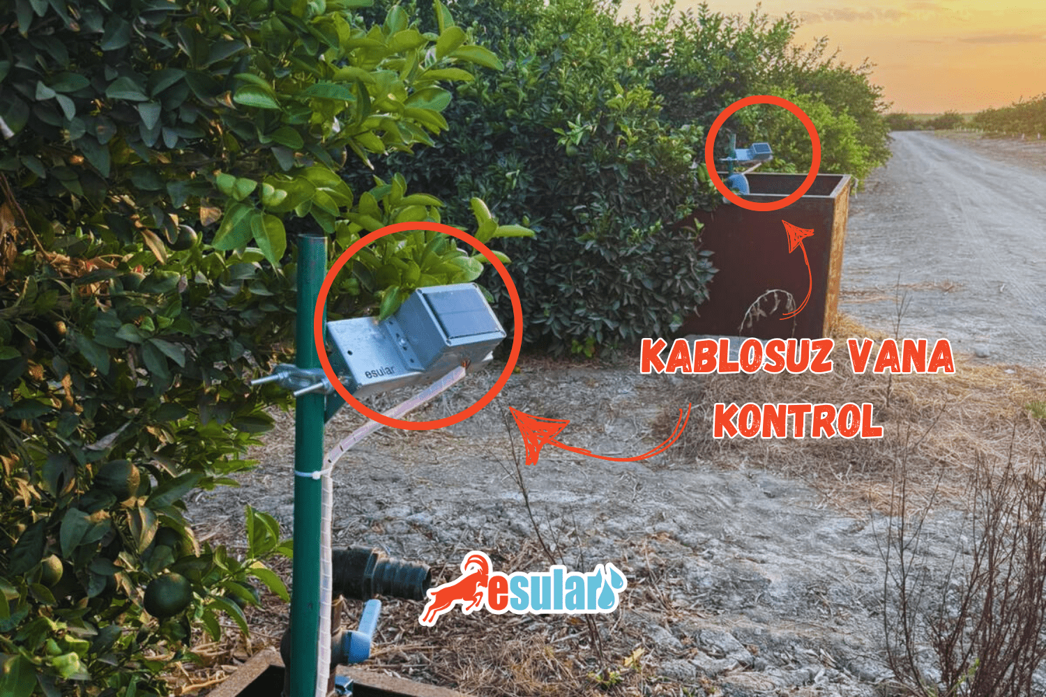 esular Wireless Smart Irrigation System