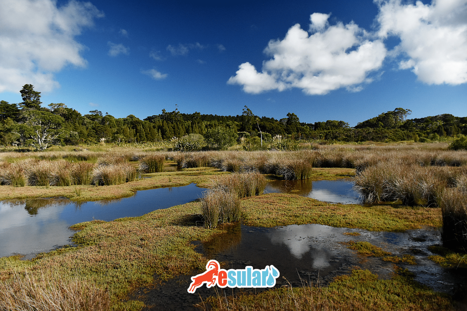干涸的地下水如何威胁灌溉系统的未来？