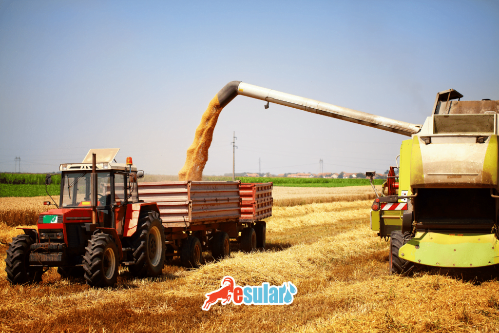 esular-tarimsal-uretimin-planlanmasi