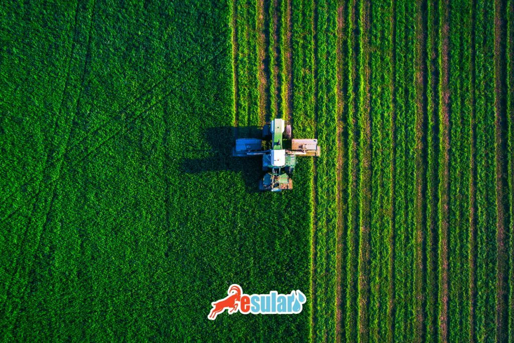 esular-tarimsal-uretimin-planlanmasi