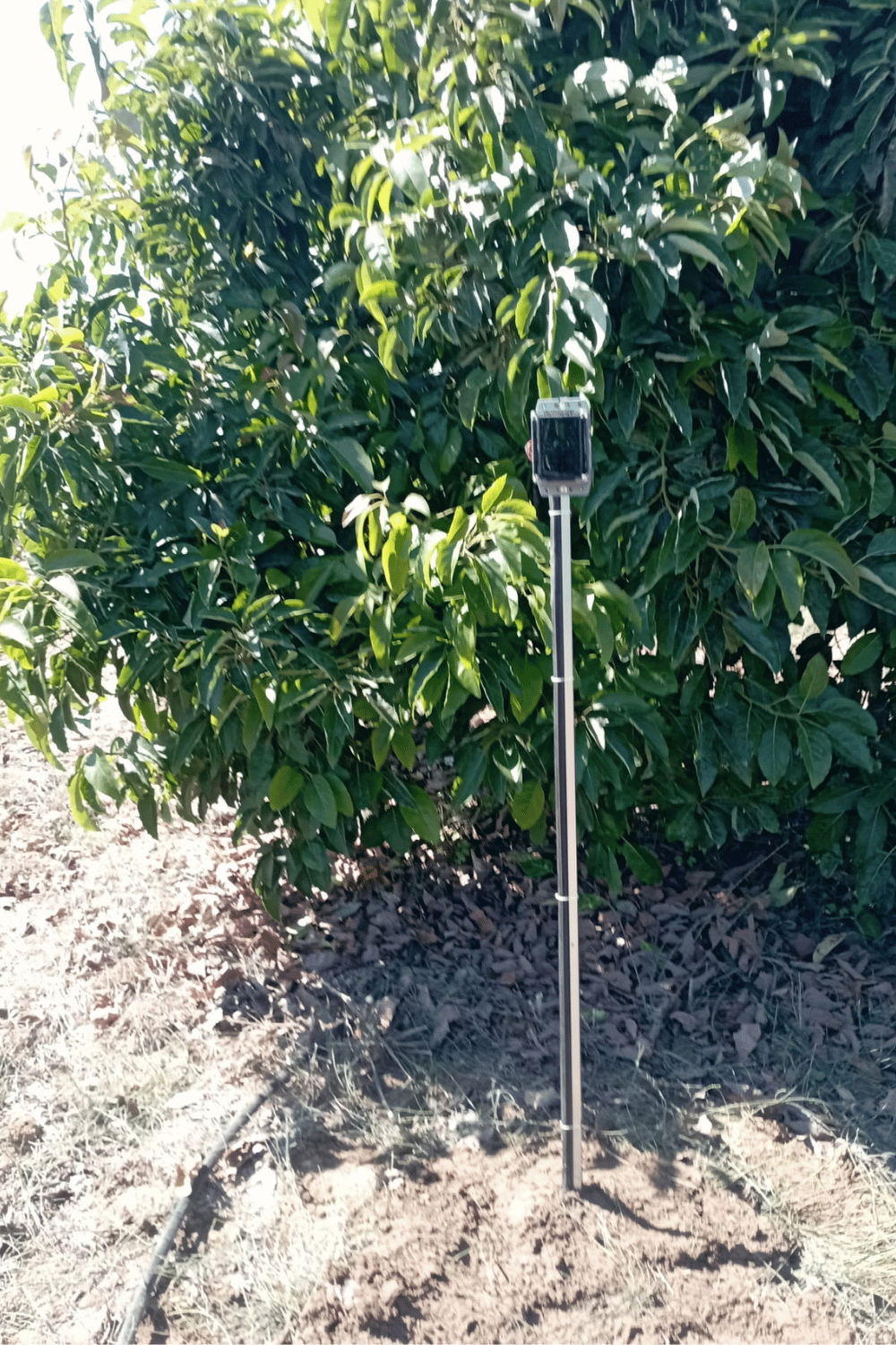 Esular 土壤湿度传感器安装