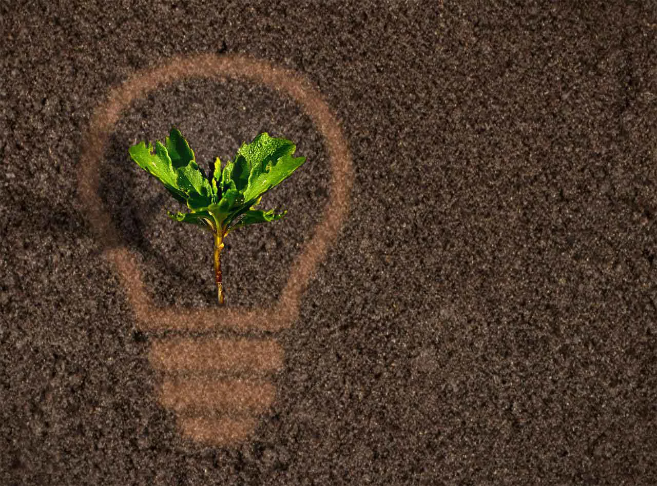 Digital Soil Analysis