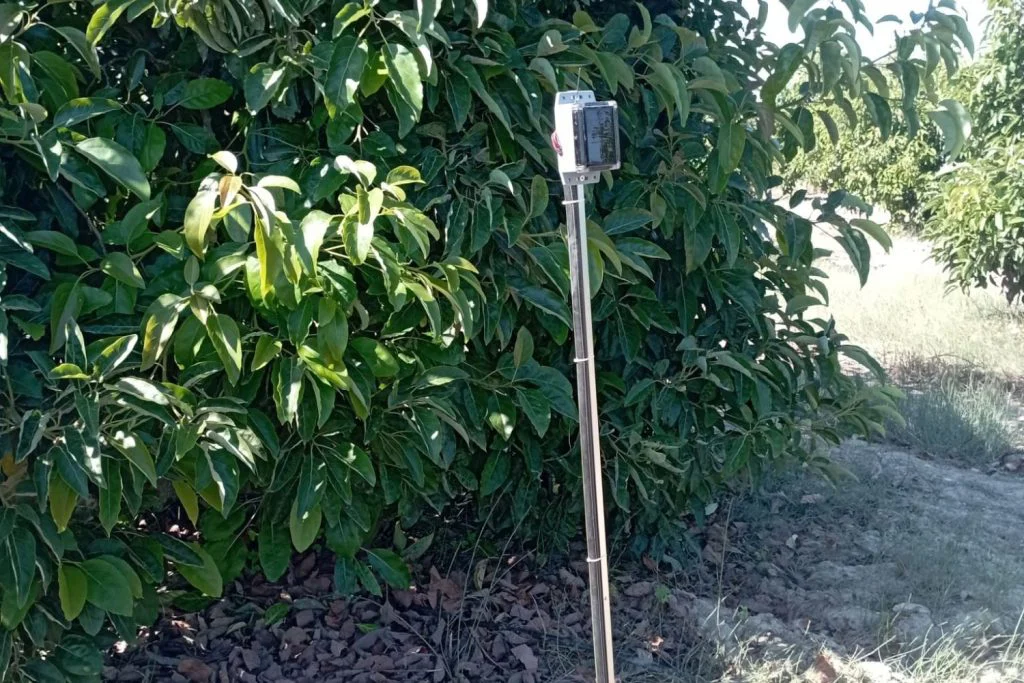 Geleneksel Sulama Sorunları