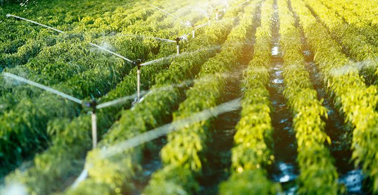 The Importance of Agricultural Irrigation