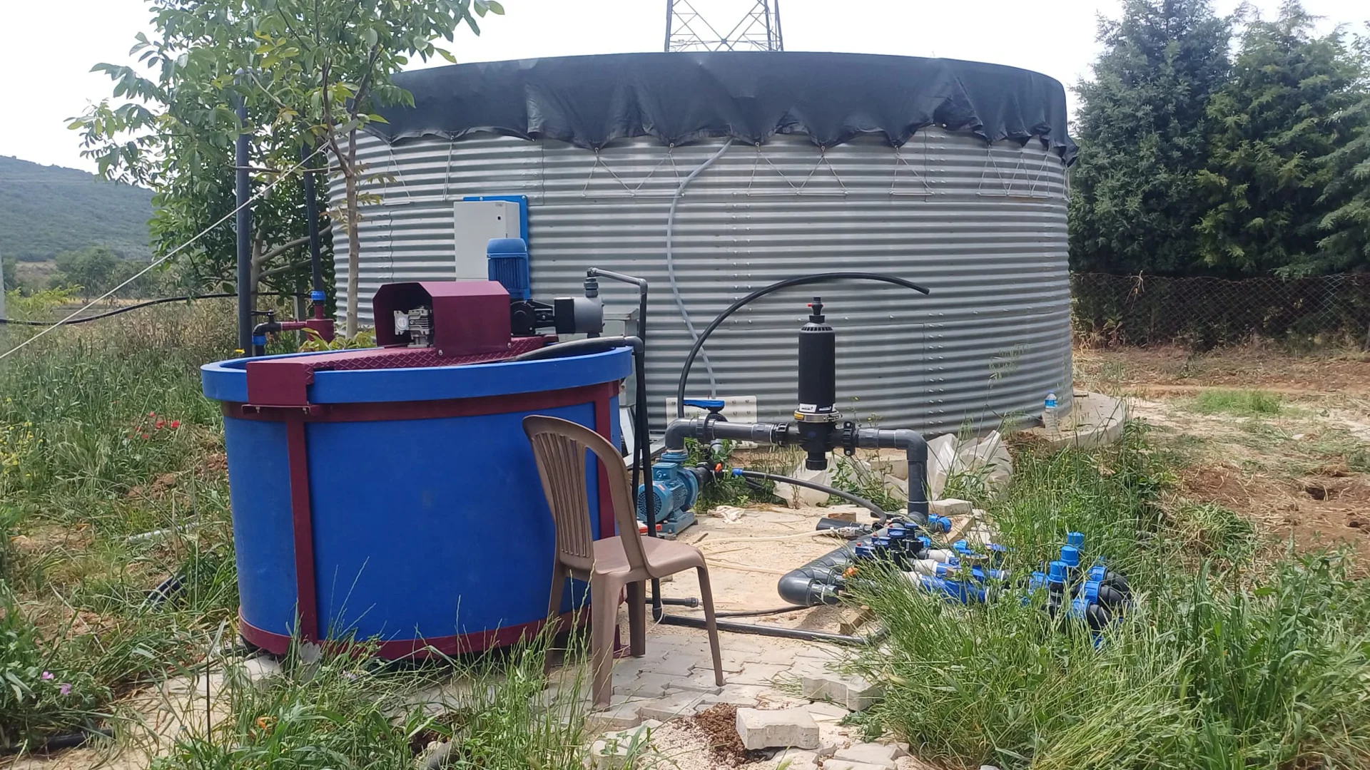 Nezepuna Gölecik 25 Decare Chandler Walnut Orchard