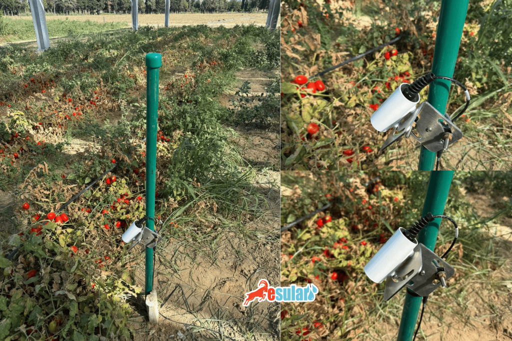 infrared-sensor-tarimda-kullanimi-esular