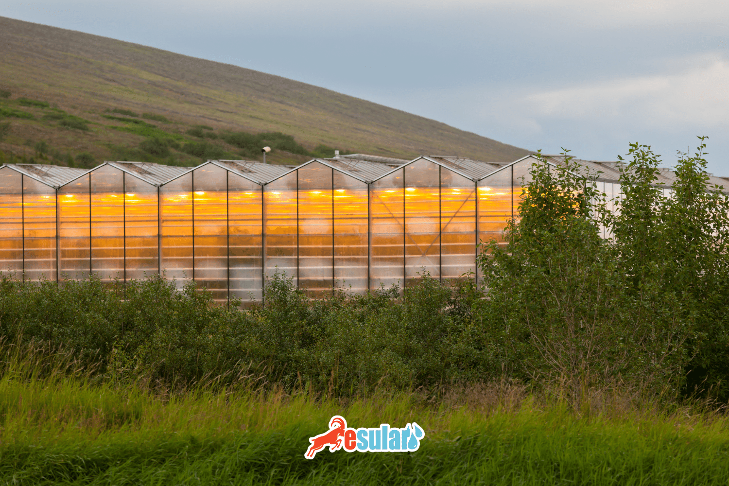Geothermal Greenhouse Farming
