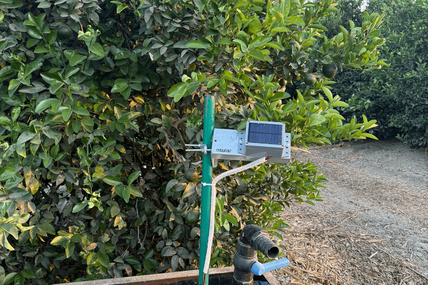 Selenoid Vana Kontrol