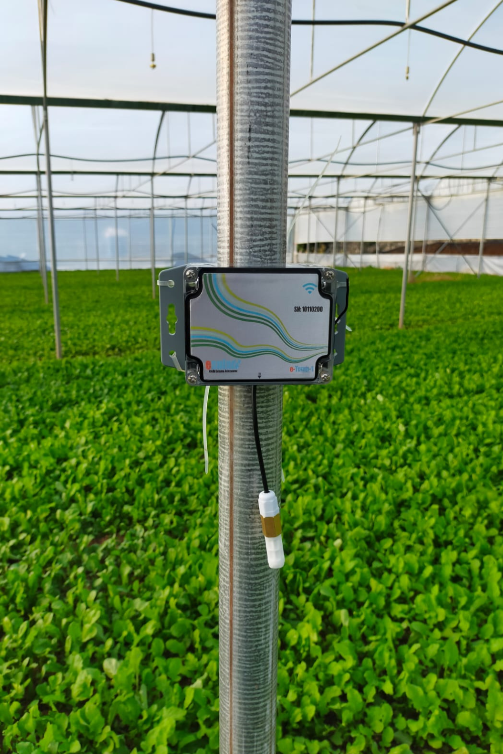 Kablosuz sıcaklık nem sensörü esular