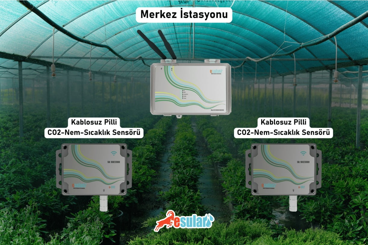 Dijital Alt Yapı Desteği