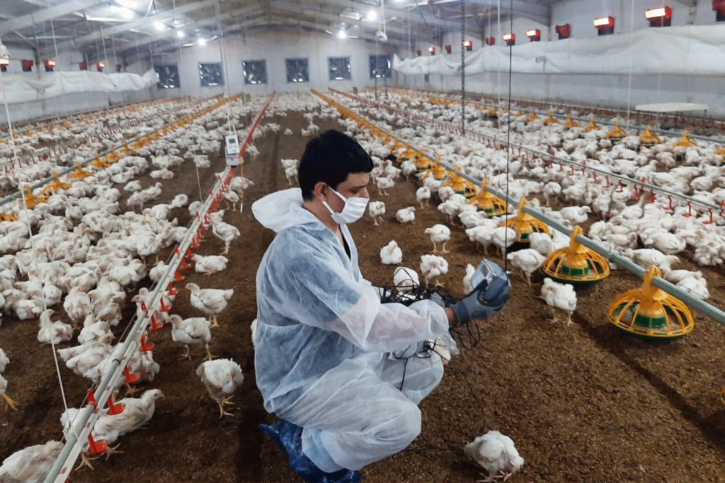 kumes-takip-sistemi-ve-uzaktan-izleme-