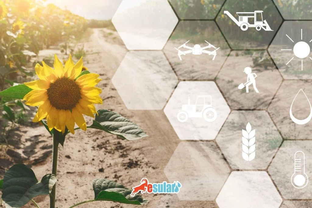 kuresel-tarim-trendleri