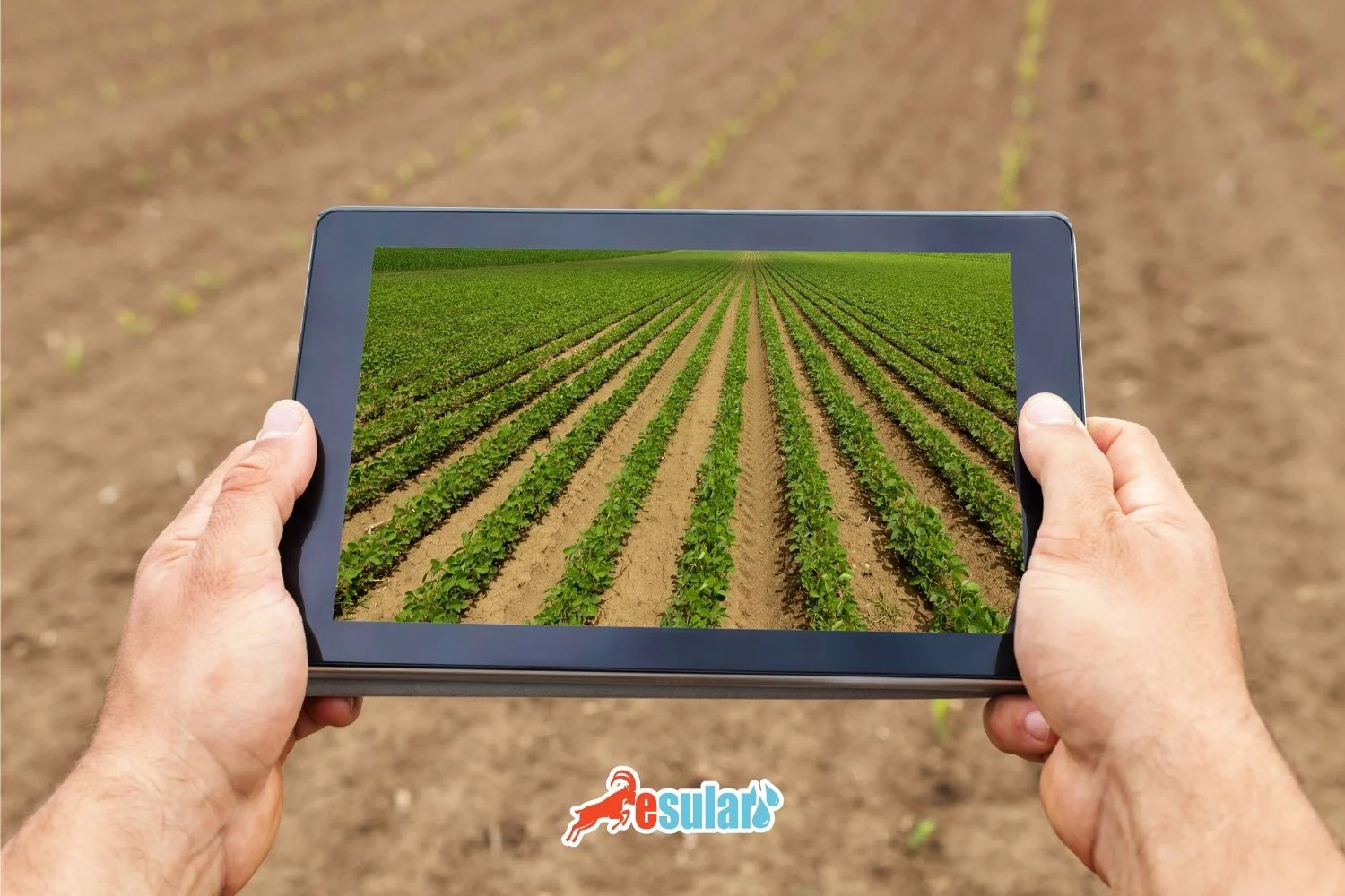 Global Agricultural Trends