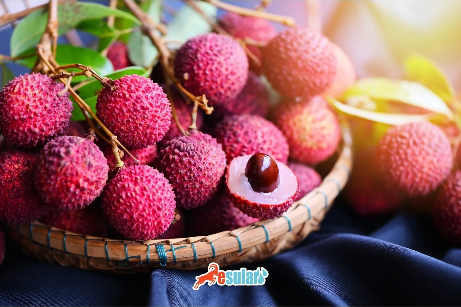 Litchi (Litchi) Cultivation