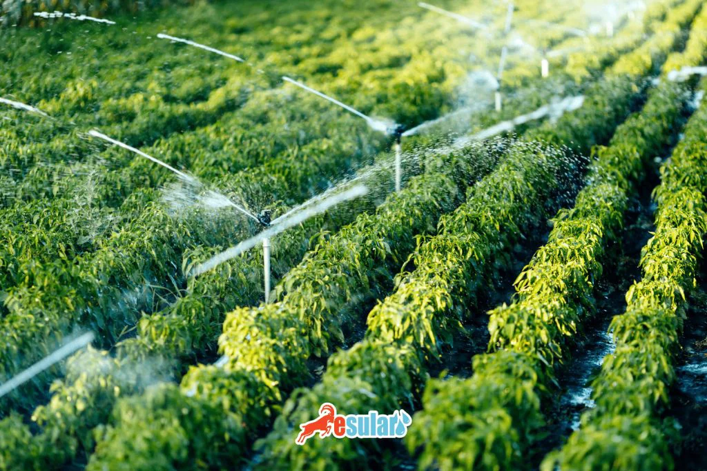 mandalli-yagmurlama-borusu