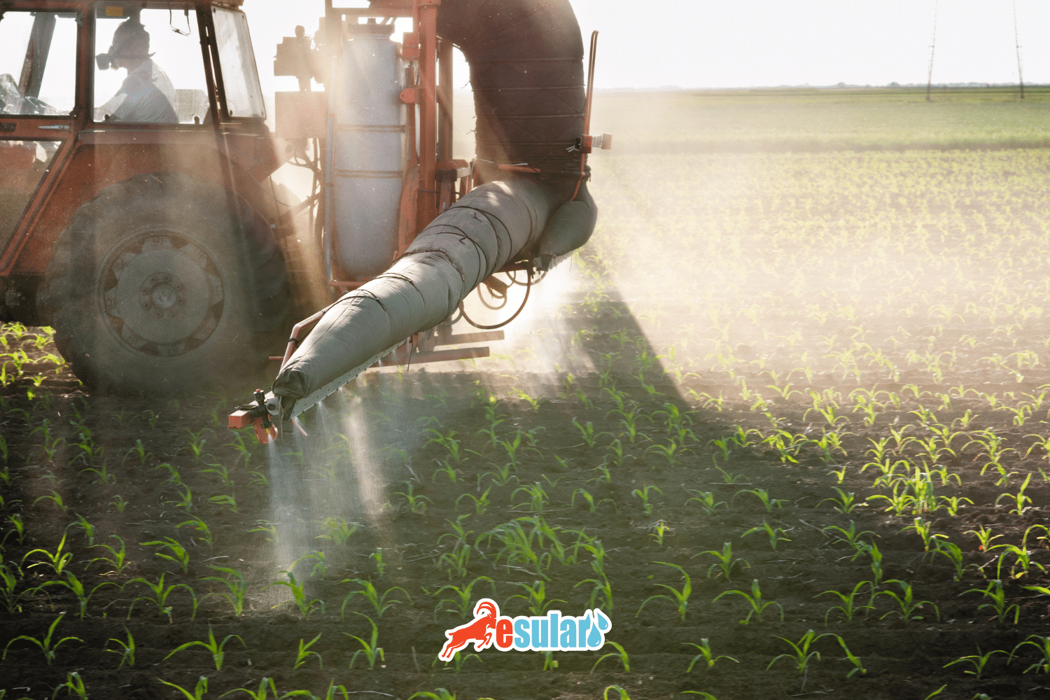 What is Liquid Fertilizer? Increase Your Yield with Modern Fertilization Systems | Esular
