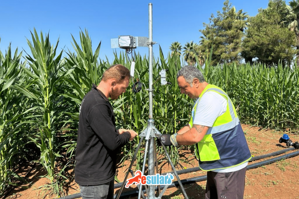 Meteoroloji İklim İstasyonu Arazi Kurulumu