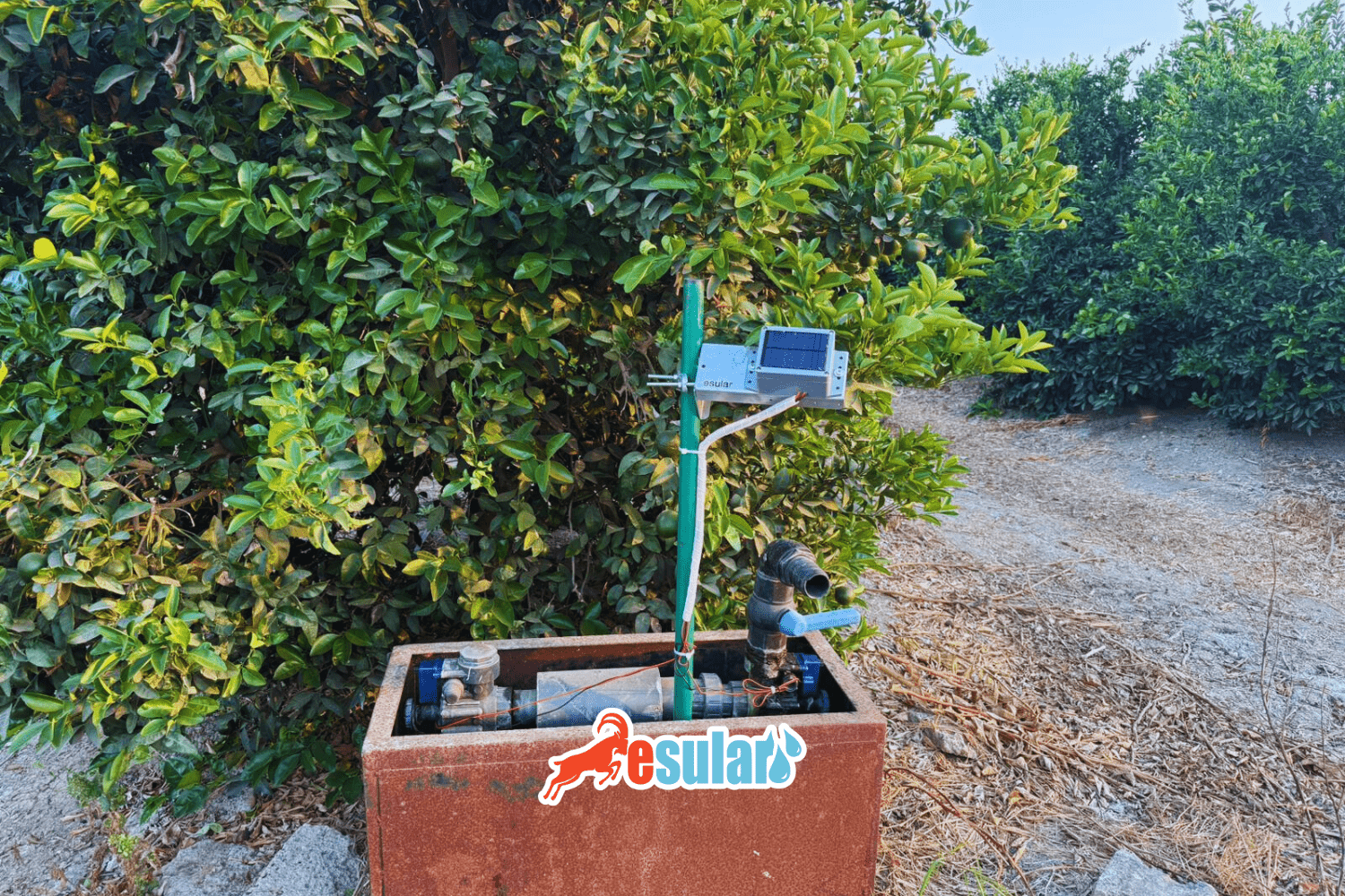 Tarımsal Sulamada İşçilik Hataları Nasıl Önlenir? Otomasyonun Rolü