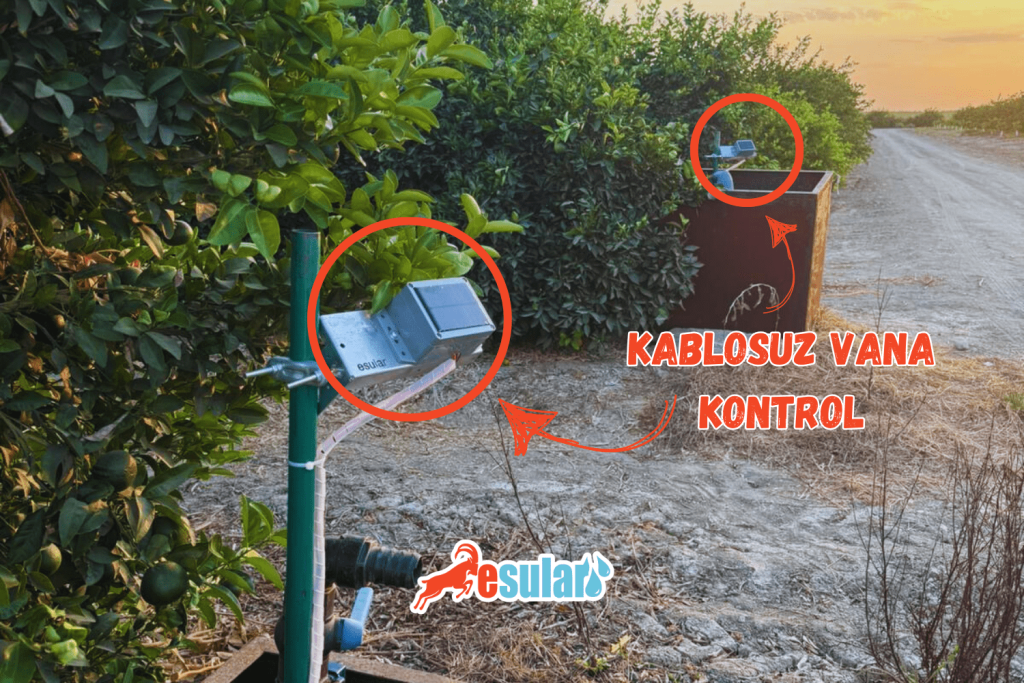 narenciyede-akilli-sulama-esular-kablosuz-vana-kontrol-cozumleri