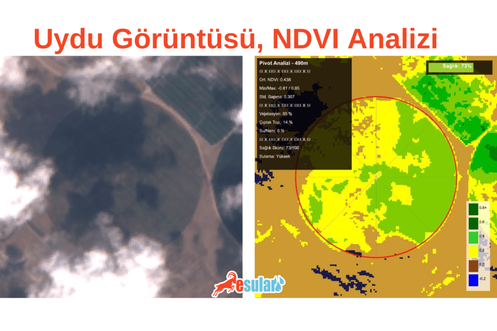 ndvi-analizi-esular