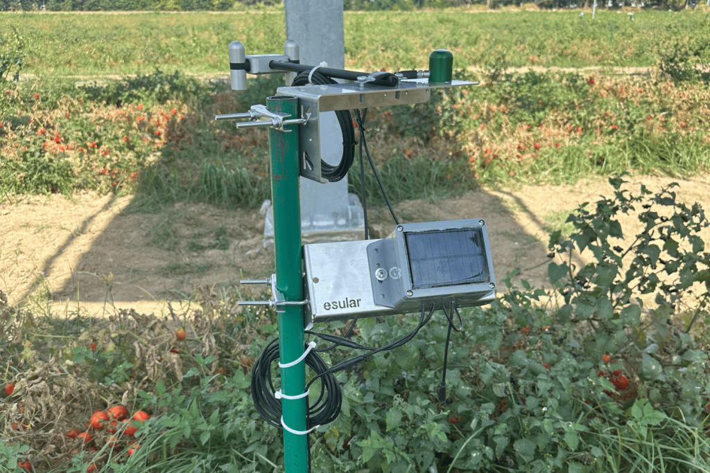 ndvi-normalized-difference-vegetation-index-esular