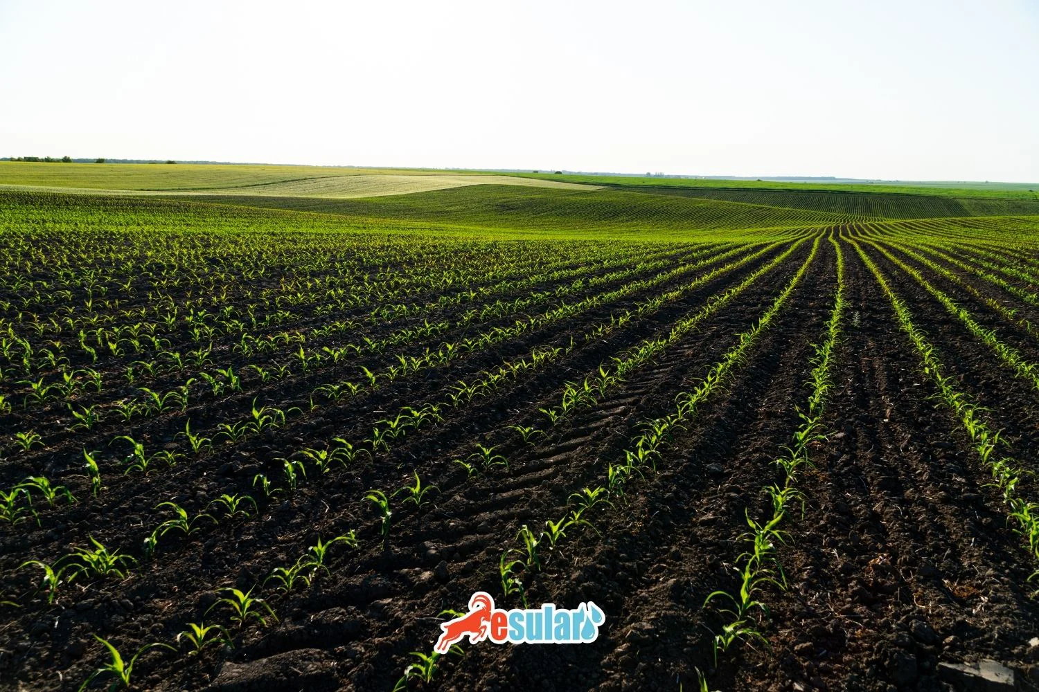 什么是有机无机复混肥料？