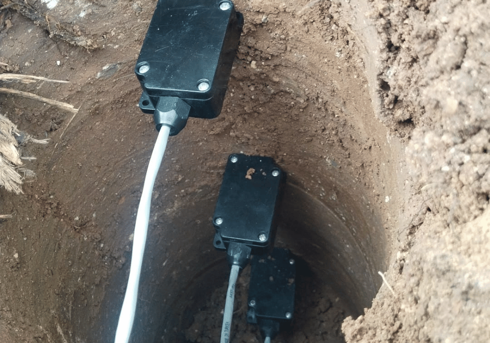 Eskişehir Ceviz Bahçesi