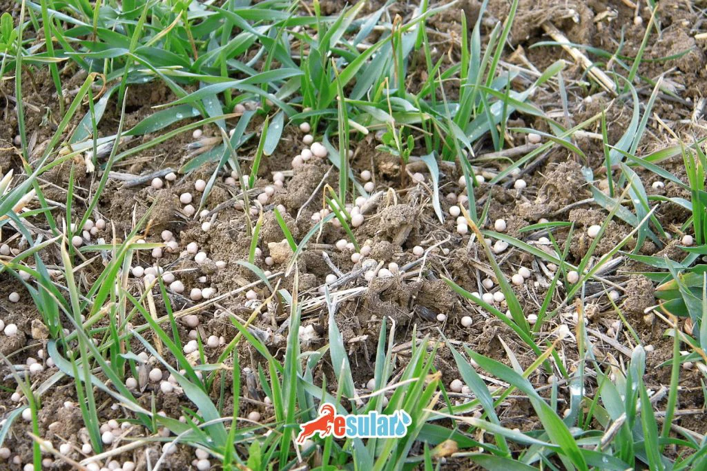 what-is-potassium-fertilizer