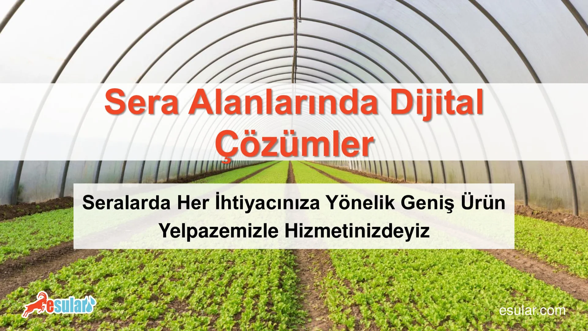 Greenhouse Automation Products: Technical Specifications and Prices 2025 | Esular