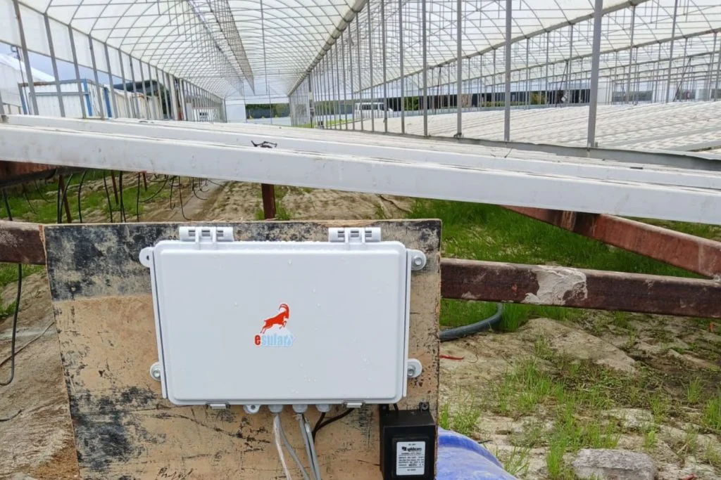 Interior view of the greenhouse